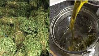 How to brew olive oil with thyme/طريقة تنسيم زيت الزيتون بالزعتر