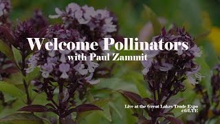 Paul zammit think pollinators in the garden