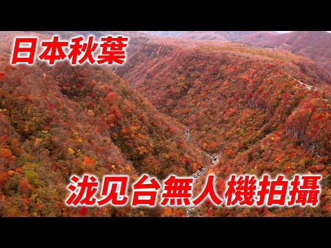 藏王瀧見台，絕美的紅葉景色——從空中俯瞰的美麗自然舞台