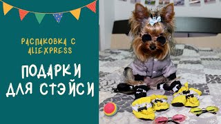 Настоящий праздник! Распаковка посылки с AliExpress (одежда, обувь и очки для йоркширского терьера)