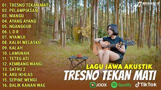 Lagu Jawa Akustik Full Album Terbaik 2025 | TRESNO TEKAN MATI, PELAMPIASAN | Viral Tiktok 2025