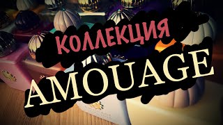 :   AMOUAGE