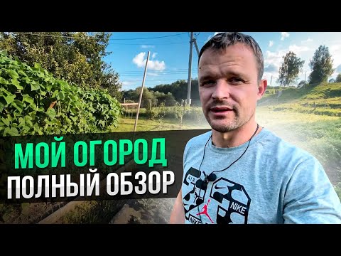 فيديو: Ogorod.org - مخزن البذور والزهور والبضائع لمنزل صيفي