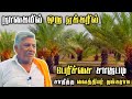 நாகையில் 1 ஏக்கரில் பேரிச்சம் சாகுபடி, சாதித்த மருத்துவர், DATES FARMING IN NAGAPATTINAM TAMILNADU