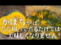料理人が教える!かぼちゃは ただ切って煮るだけでは 美味しくなりません!【南瓜を美味しく炊く方法!】