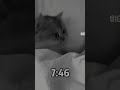 13 сентября 2025 г.