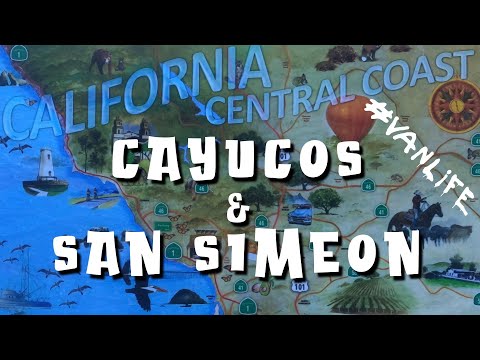 California’s Central Coast - Cayucos - San Simeon - Elephant seals and  driftwood  - #vanlife