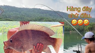 Lại săn được cá Phi khủng và cảnh đẹp hiếm có ở Đa Mi. Fishing like that.