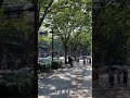 【#Shorts】杜の都仙台といえばここ！