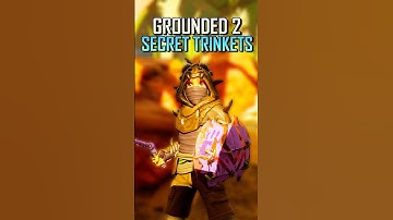 9 Secret Trinkets In Grounded 2 And How To Get Them