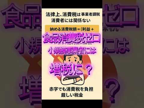 食料品消費税ゼロ：消費税を正しく理解すると小規模事業者には、増税に見えてくる？