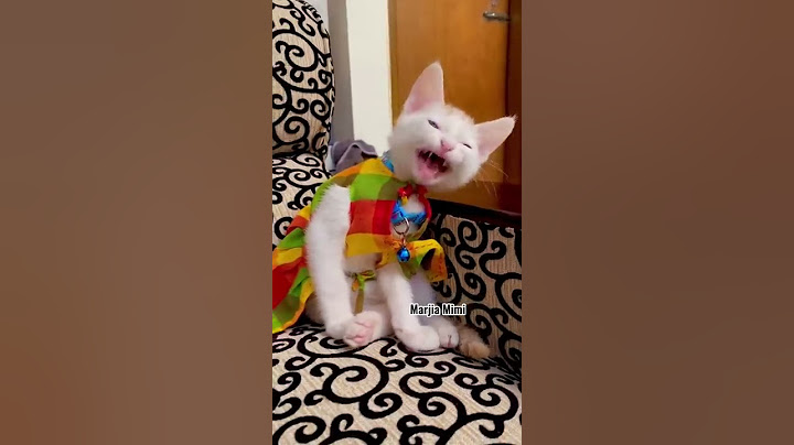 মিঠু ডিম কিনতে গিয়ে ধোঁকা খেলো 🐈😂 | #MimiMithu #shorts