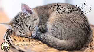 Music for Cats  Relaxing Harp Music and Water Sounds to Calm Cats