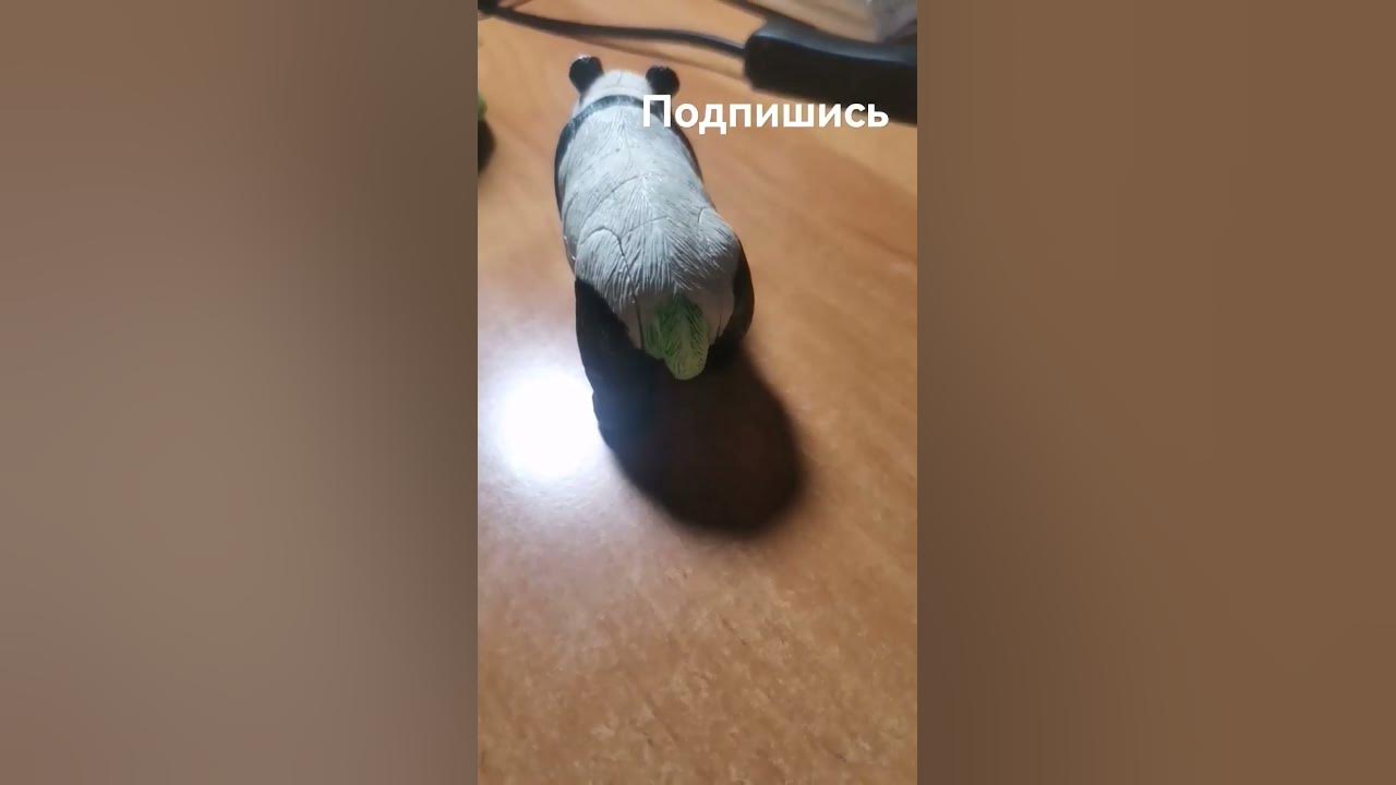 мама я хочу какать #юмор #ржака #приколы - YouTube
