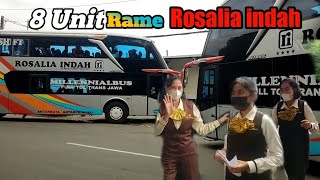 Banyak Peminatnya, 8 Unit Bus Rosalia indah Di Bekasi Ke Solo