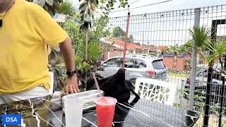 Bersama Sarjana DSA di PRU Johor : lagi 2 jam, boleh kah Bersama menang kerusi ???