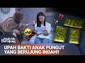 NANGIS KEJER! SELAMA INI TERTINDAS, TERNYATA IBU ANGKATNYA.. | Rindu Tak Berujung Eps 8 (FULL)