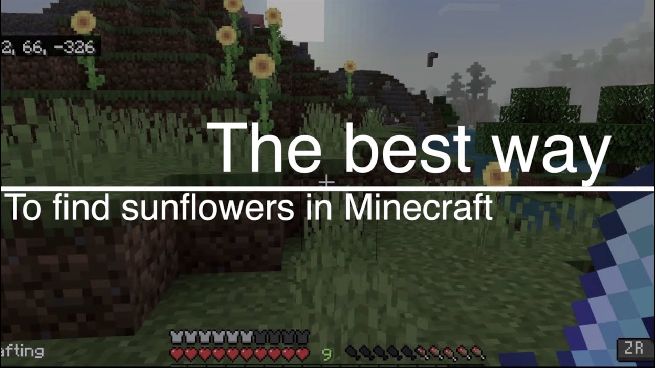 How to Find Sunflowers in Minecraft! (Best Way) YouTube