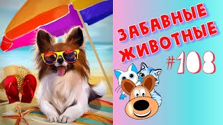 Приколы с Животными #108 / Смешные Животные 2020 / Приколы / Приколы про Животных / Лучшие Приколы