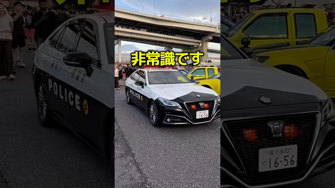 最強すぎる警察官w #すごい #警察 #車 #解説