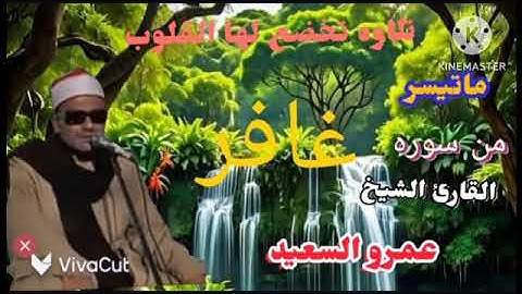 الشيخ عمرو السعيد ماتيسر من سوره غافر 