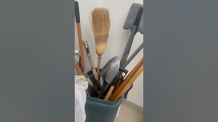 24/25 RMHS Forensic Science Mock Crime Scene Video