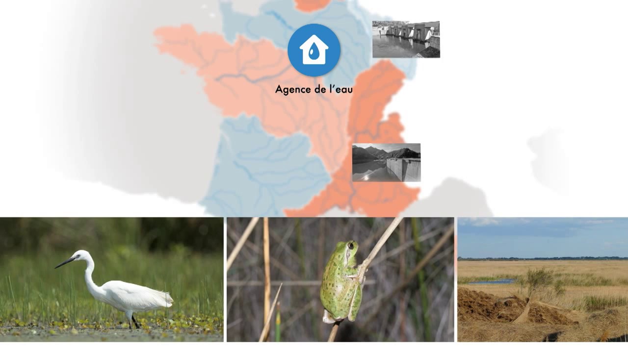 La politique de l'eau en france : les grands principes