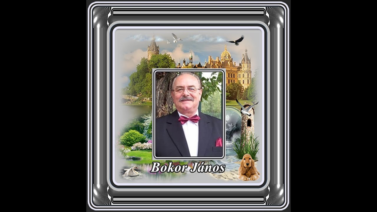 Bokor János : Nem siratom én a múltat