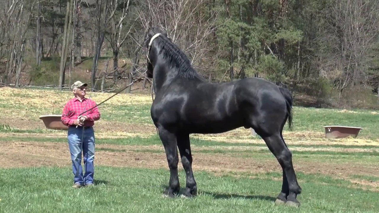 Windermere Farms Tour April 2017 YouTube