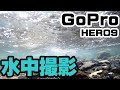 【GoPro HERO9】アクションカメラGoProを購入！いきなり水中撮影を試してみた（1080p 60fps 広角）