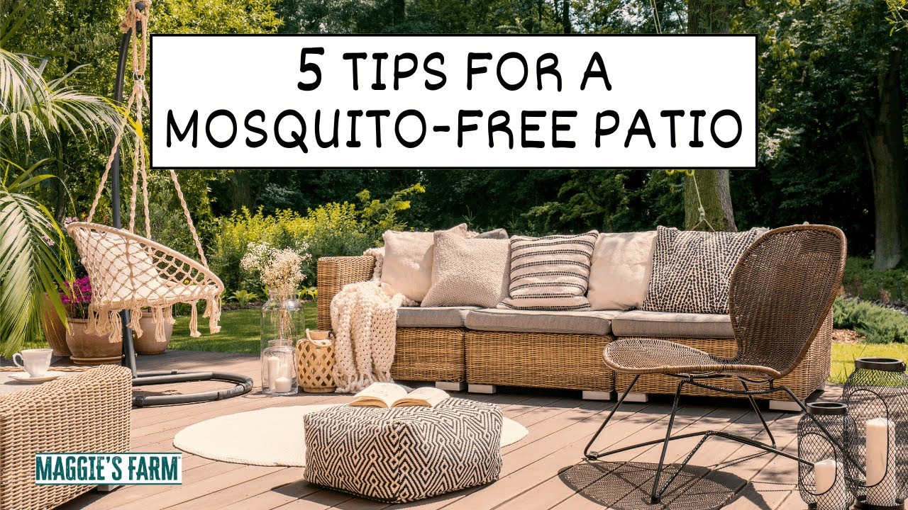 5 Tips for a Mosquito-Free Patio