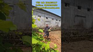 Truyền Thông Du Lịch Việt Nam 