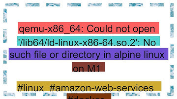 qemu-x86_64: Could not open 