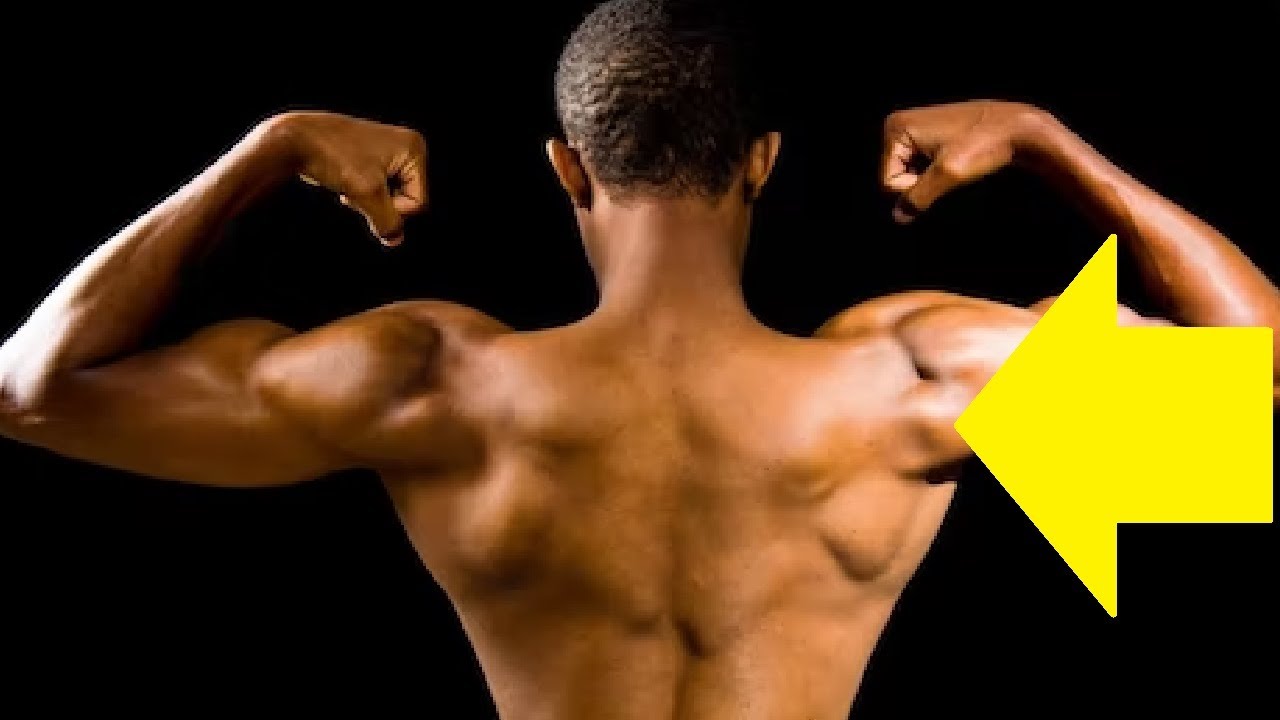 why does my shoulder blades stick out so much YouTube