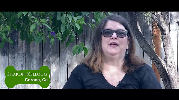Sharon Kellogg Dog Video by Sebaz Productions