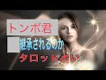 タロット占い 🔶トンボくんは皇⭕️継承されるのか⁉️タロット占いカードリーディング