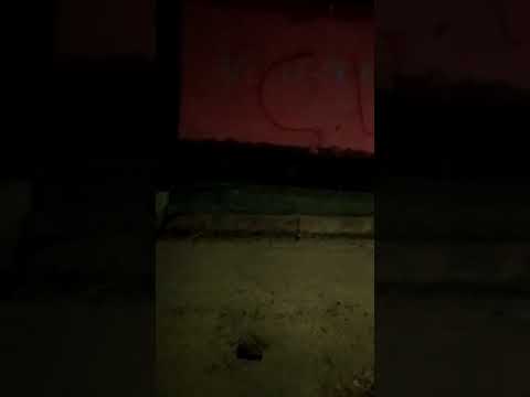 Faccionados 'marcam território' e picham muros na Sobral: 'proibido roubar'