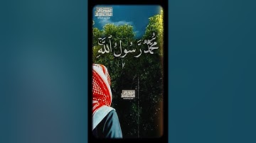 مُّحَمَّدࣱ رَّسُولُ ٱللَّهِۚ وَٱلَّذِینَ مَعَهُۥۤ أَشِدَّاۤءُ❤️الشيخ محمد عبدالعزيز حصان#تلاوه_خاشعه