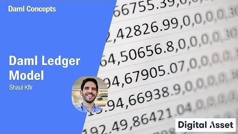 What is the Daml Ledger Model? [2021]