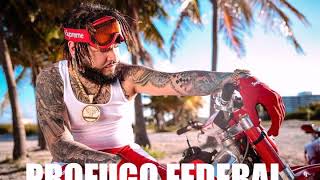 Farruko - Profugo Federal