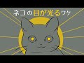 【マンガ動画】暗闇でネコの目が光るのは？人の目との違いに迫る 動画：朝日新聞デジタル - 朝日新聞デジタル