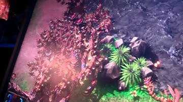 Heart of the Swarm ZERG Unit - Viper