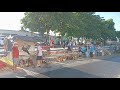 VANIO DAS GALINHAS MOSTRANDO AS CRIAÇÕES DA FEIRA NA LINHA DO TREM EM ARAPIRACA 11/03/2024 #nordeste