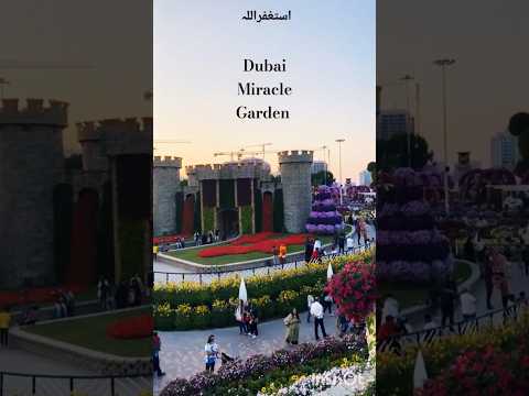 #dubai #miracle #garden #islamic #ملانا #طارق #جمیل #youtubeshorts