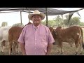 Primera Vitrina Agropecuaria Corazón del Llano Trinidad Casanare - Campo - Mundo del Campo