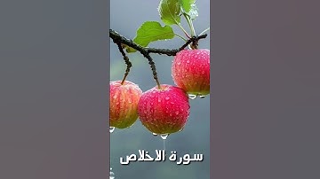 سورة الاخلاص - القرآن | Sorah Ikhlas - Alquraan - Cute Baby