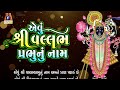 Aevu Shree Vallabh Prabhu Nu Naam | Lyrical | Gujarati Devotional Song | Mp3 Song