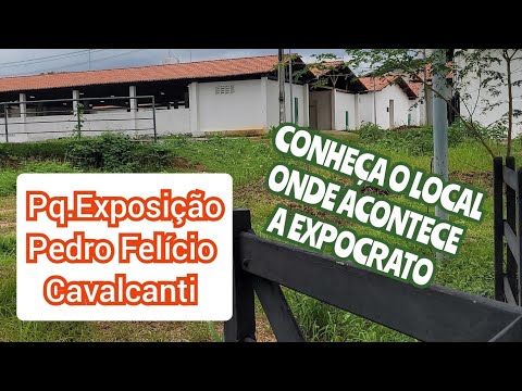 Vídeo: Onde acontece a exposição?