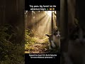 Forest Adventure with Playful Kittens 🐾 | Cutest Wild Chase Ever! #shorts #cute #cat