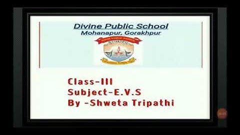 Class- III  EVS  Chapter 12 (Storing and Saving Water)